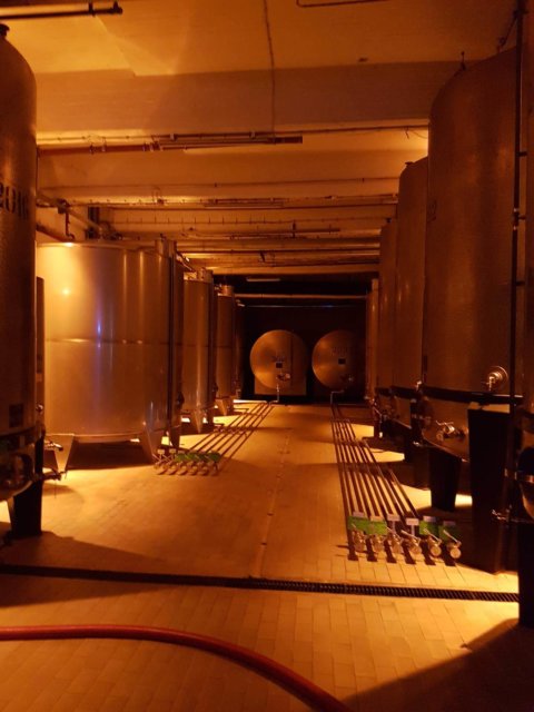 Metaxa Academy, Kifisia — AKPRAXIS (3)